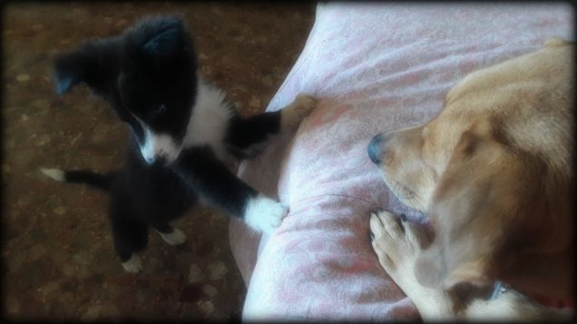 Teo e la nostra amichetta...