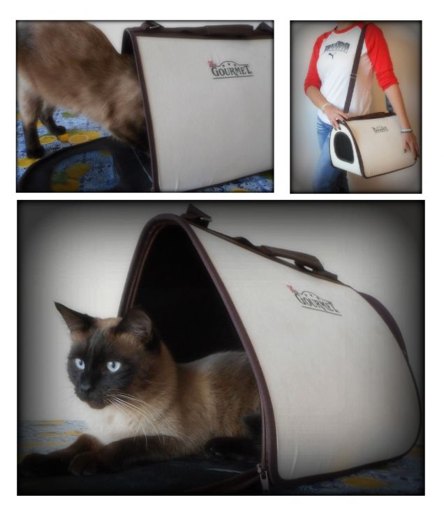 Premio ricevuto: raccolta punti Gourmet. 