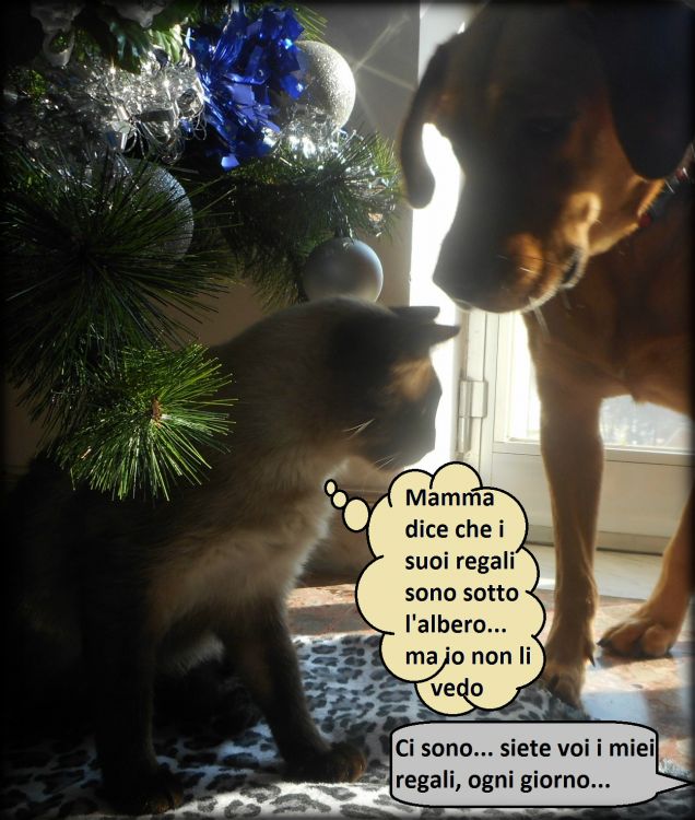 Leo e Teo sono per me un dono che Dio mi fa ogni giorno ❤