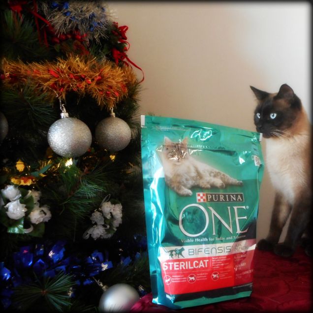 Campione omaggio di Purina ONE Bifensis Dual Defense. Ricevuto per aver partecipato al test -'Quanto ne sai sui gatti?'-