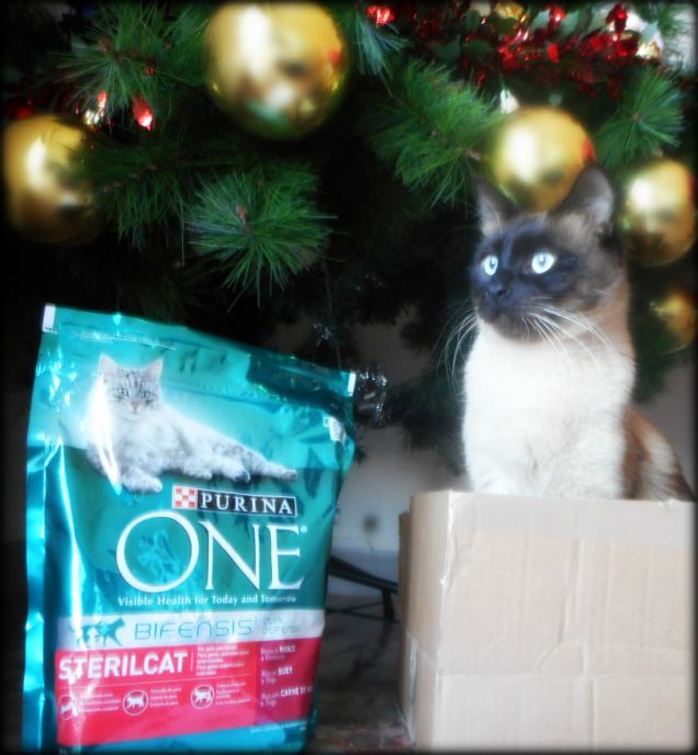 Omaggio Purina ONE Bifensis. Ho scritto una recensione sul sito di Purina, e voi avete già scritto una recensione sul prodotto?