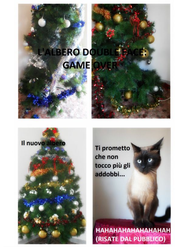 Che disastro! Albero K.O! Mangerò di baci le guanciotte ad entrambi i miei pelosetti: a Leo do la punizione perchè è colpevole, a Teo per favoreggiamento