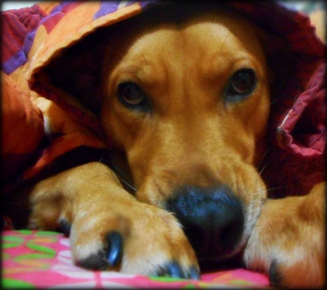 Brrrrrrrr che freddo!