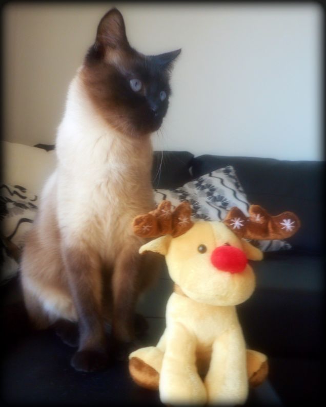 Stessa postura del peluche...