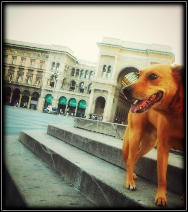 Passeggiata per Milano
