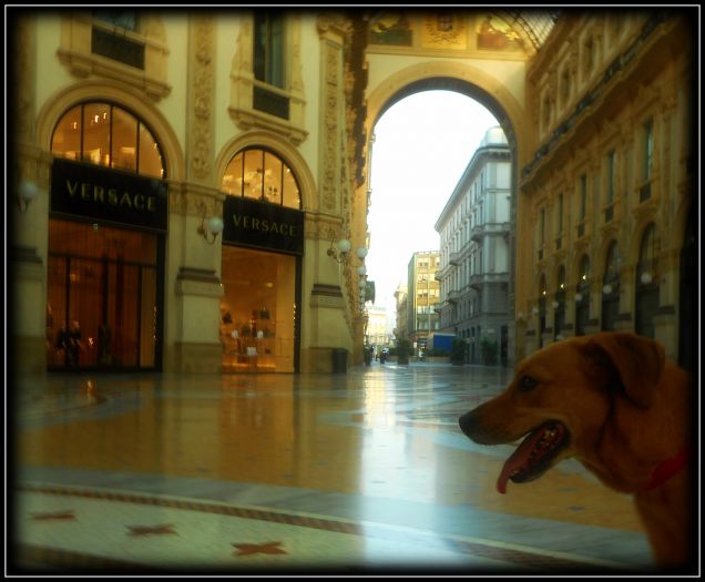 In giro per boutique a Milano