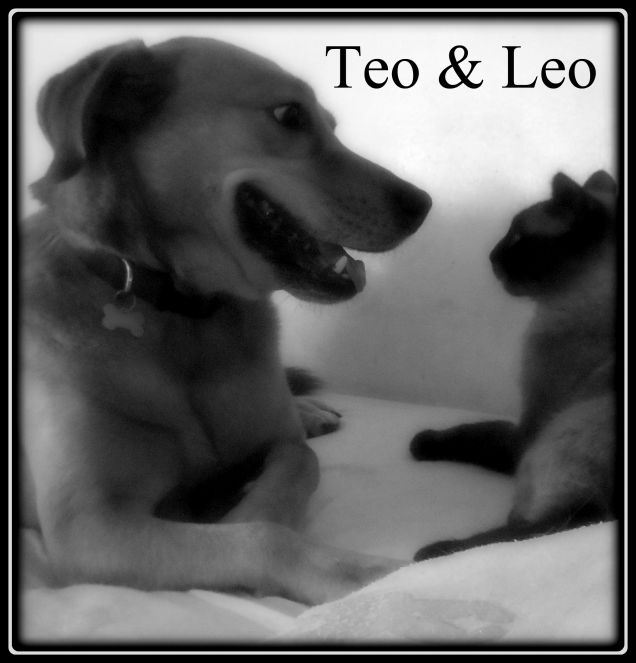 Teo e Leo