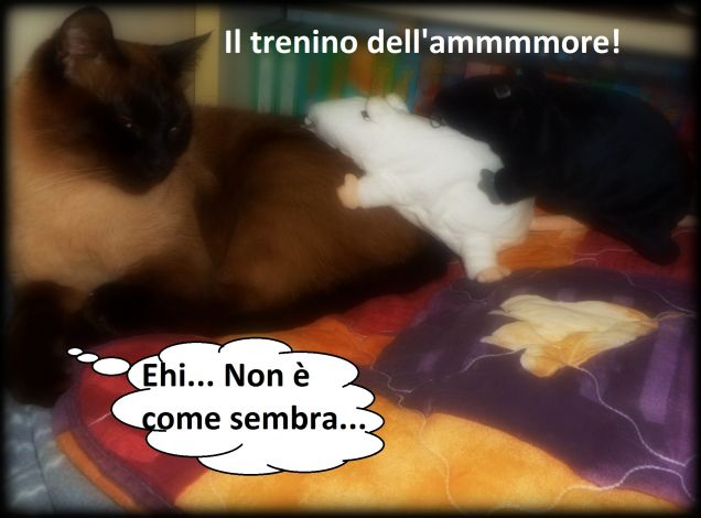 Braziiiiillll lalalalalalalllllllaaaaa a e i o u y :-D