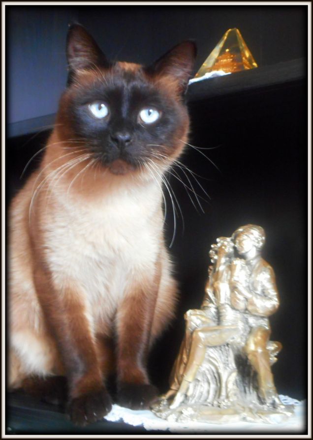 Soprammobili... Ah no, uno è Leo