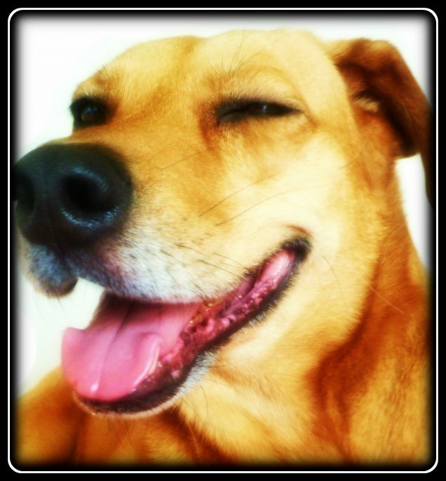 Un sorriso per voi :-)