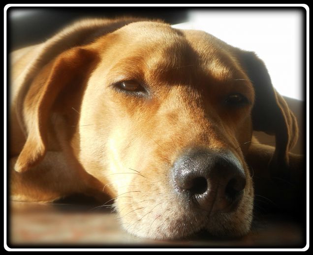 Teo baciato dal sole