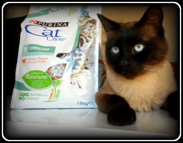 Occhi vispi, pelo lucido e morbido. Il mio Leo più sano e più bello con Purina® Cat Chow® Sterilised