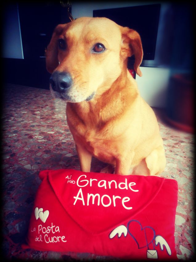 Buon San Valentino!