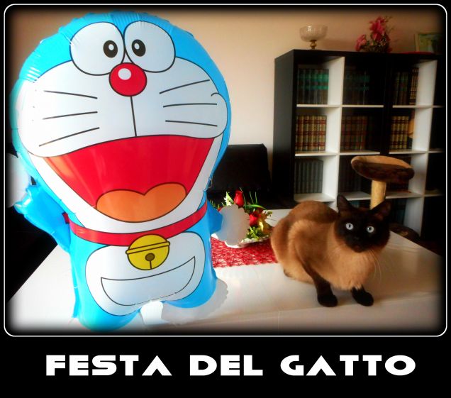       17 febbraio:  Festa Nazionale del Gatto