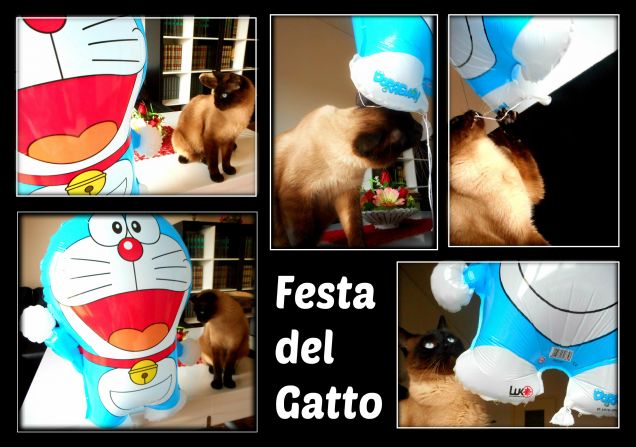 17 febbraio:  Festa Nazionale del Gatto