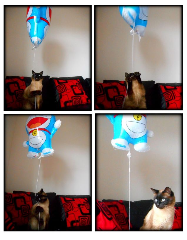 Leo gioca con il Doraemon (1°collage)