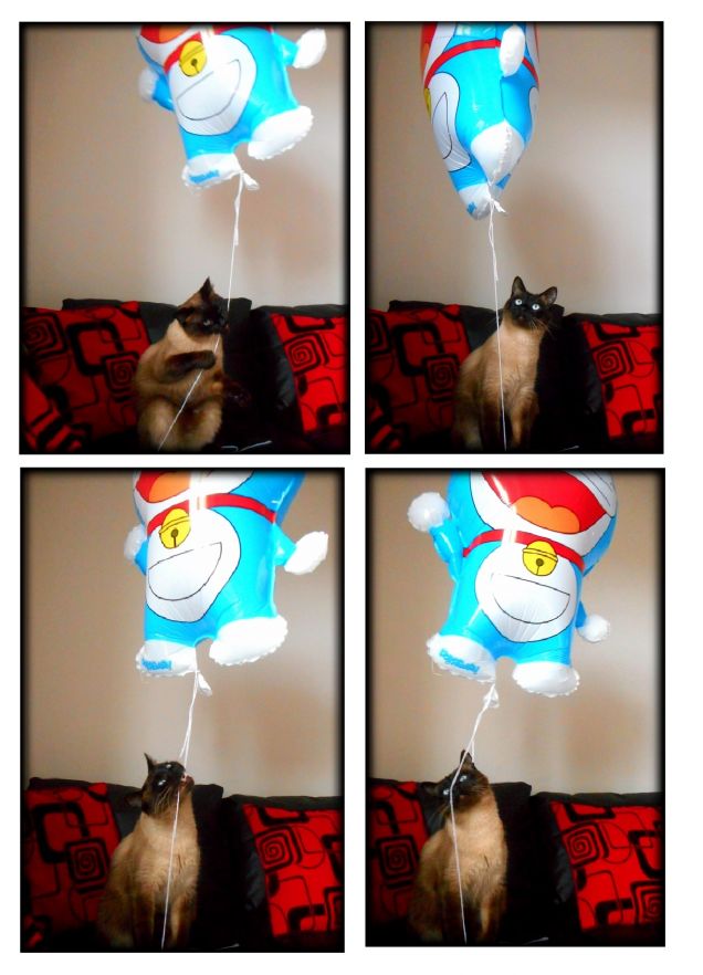 Leo gioca con il Doraemon (2°collage)