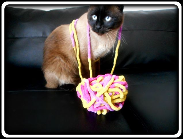 Il gomitolo di lana...