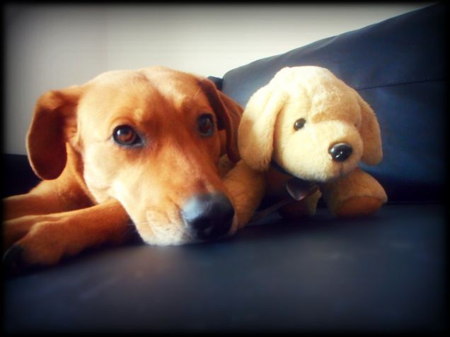 Teo & Leo... Ah no; l'altro è un peluche :-D