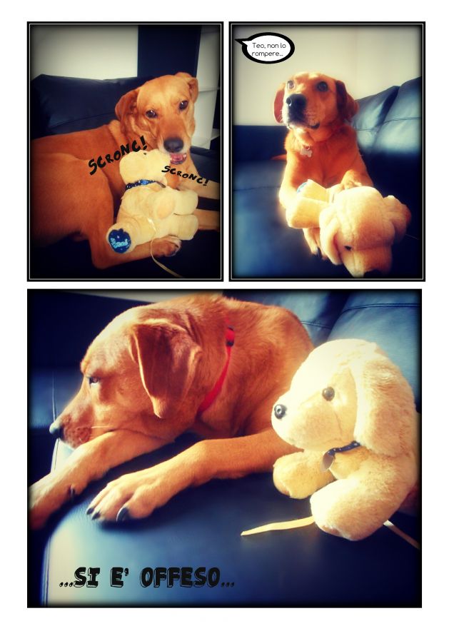 E poi boh... (giuro; non l'ho sgridato...)