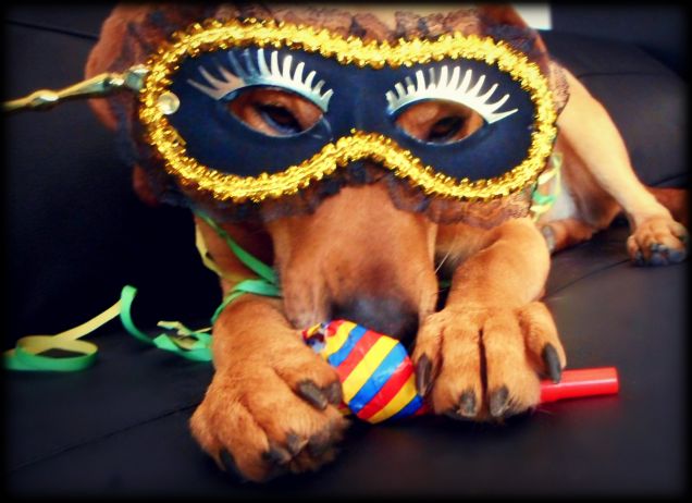 Teo in maschera...