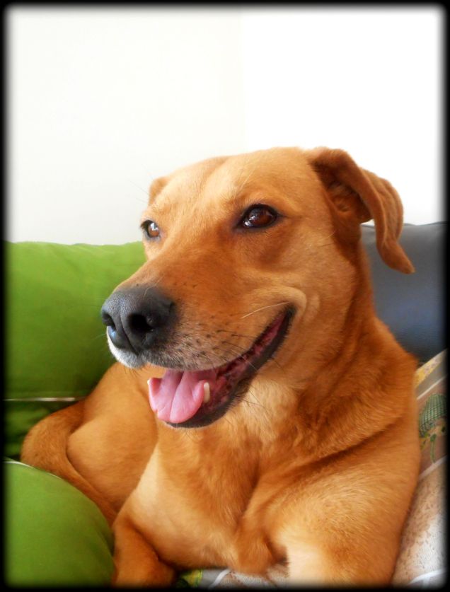 Se lui è felice, lo sono anch'io