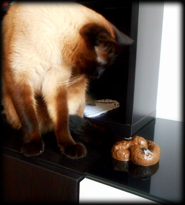 A Carnevale, ogni scherzo vale! :-D