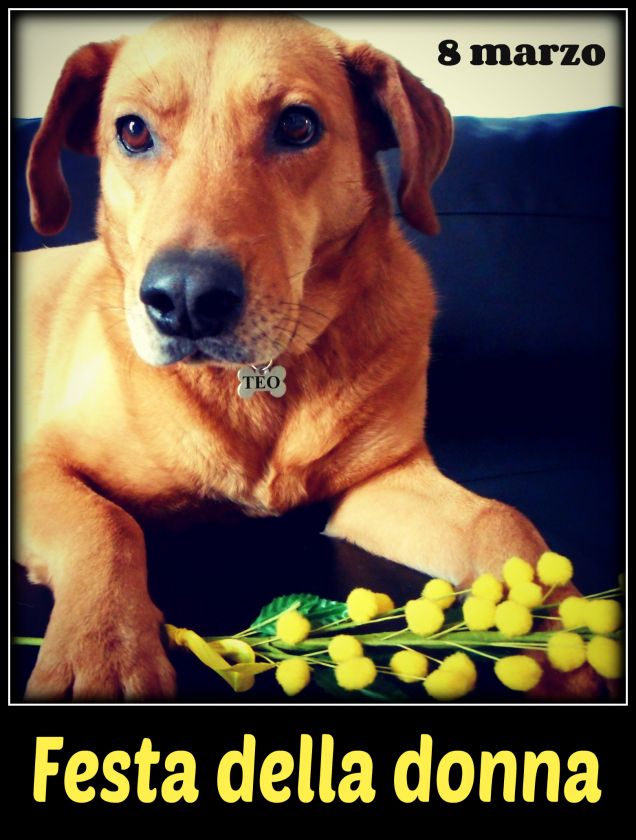 Auguri a tutte le donne, sempre, ogni giorno! :-)