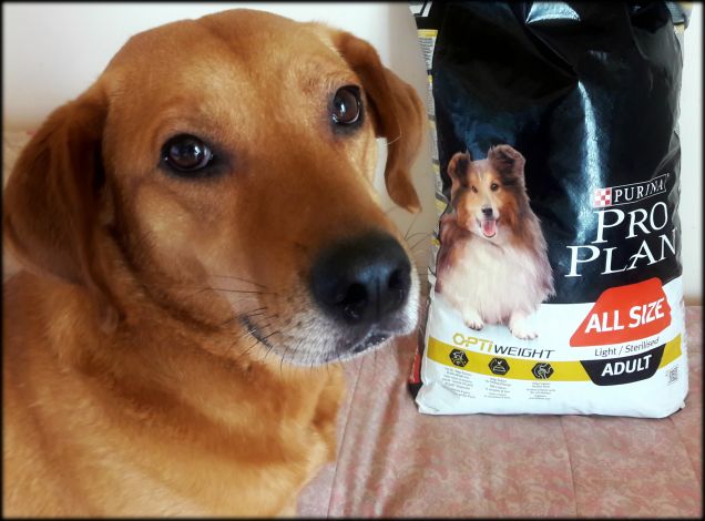 Teo e Purina  Pro Plan All size Light Sterilised OptiWeight ricco di Pollo 