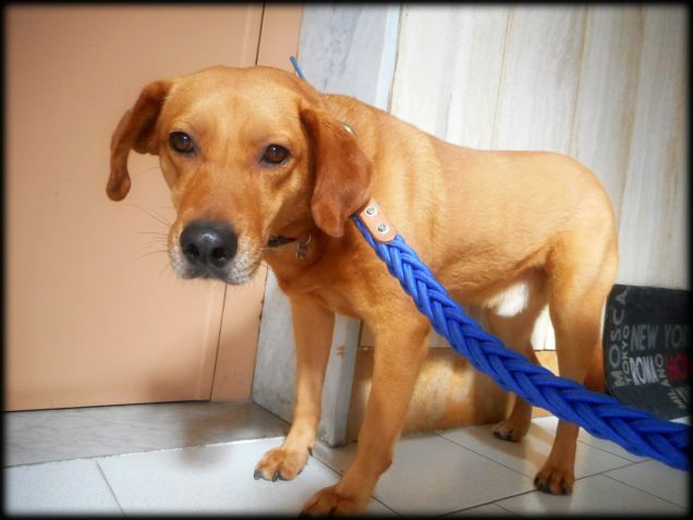 No Teo, sei ancora a dieta... niente ascensore, prendiamo le scale! :-D Da notare la faccia :-D