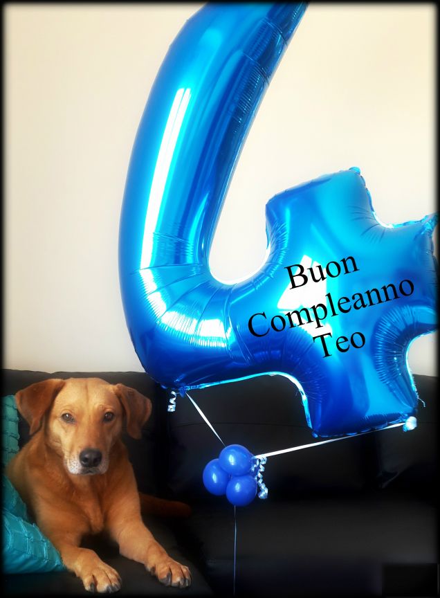 Oggi è il compleanno di Teo, compie 4 anni