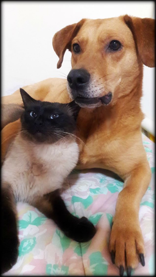 La faccia che fanno; quando gli dici 'Ciao, io esco!'