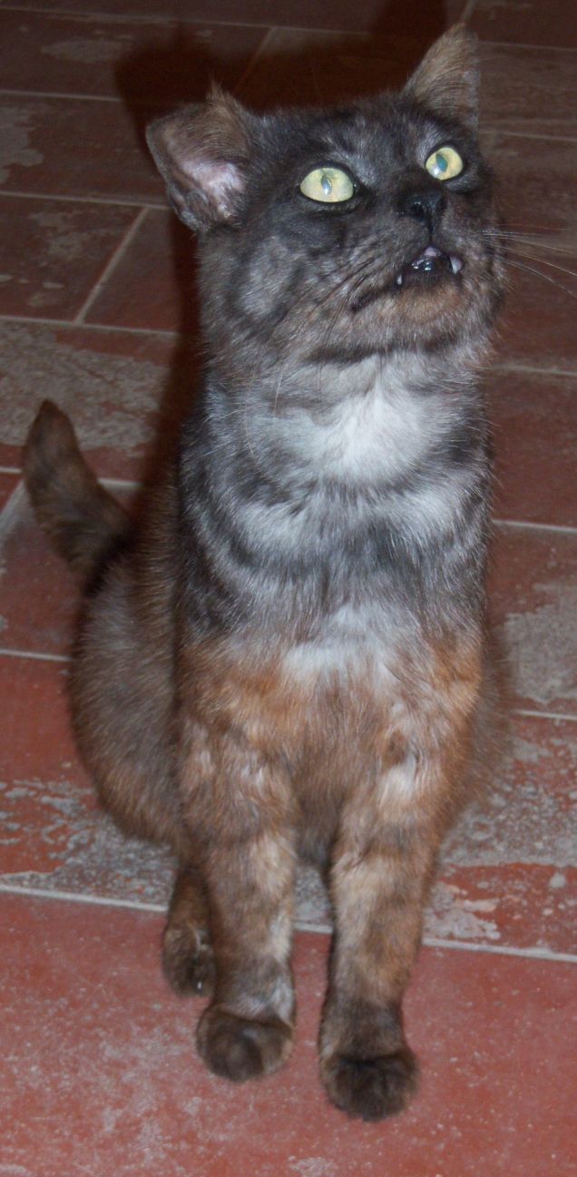 Severino, il mio GGG