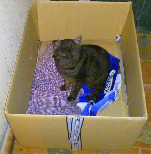 Ci prepariamo per la dormita di stanotte