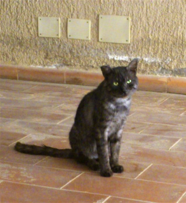 Il nostro primo incontro