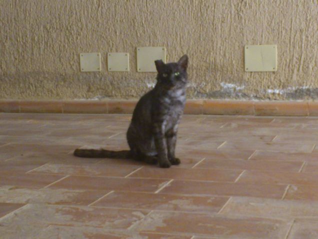 Chiedevi aiuto, ma con dignità