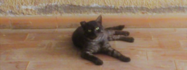 Il primo incontro con Severino