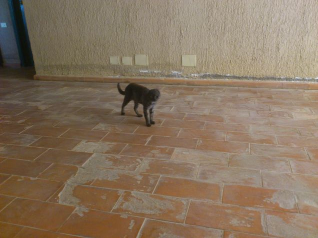 Il nostro primo incontro con Severino