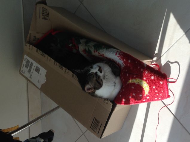 Che posto meraviglioso! 