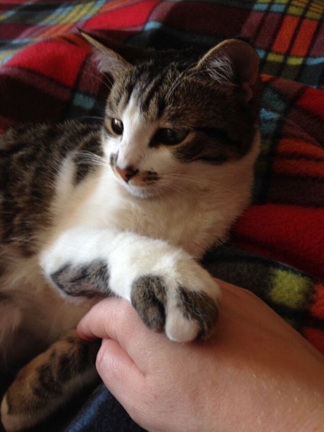 Noi due nel mondo e nell'anima