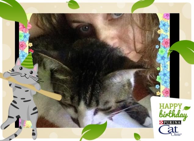 Buon compleanno Cat Chow