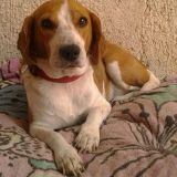 Rosita