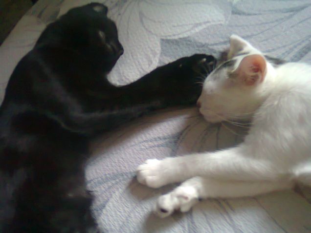 una bella dormita tra sorelline