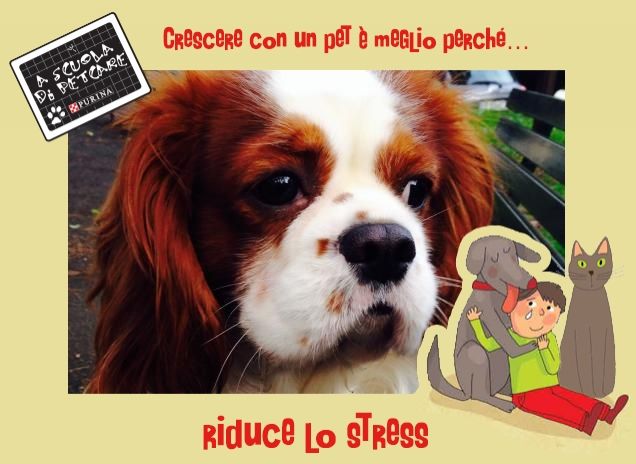 Il mio patatino, Arturo! 