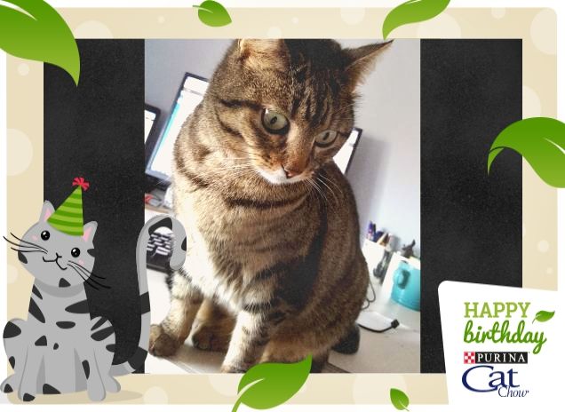 la mia personal assistant ♡