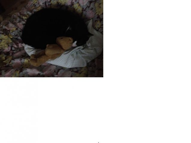 Il riposo del guerriero