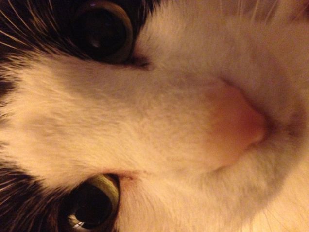 Attenta ti controllo