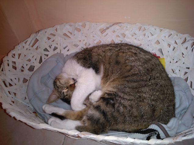 La nanna di Pupinella