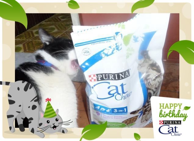 #happybirthdaycatchow