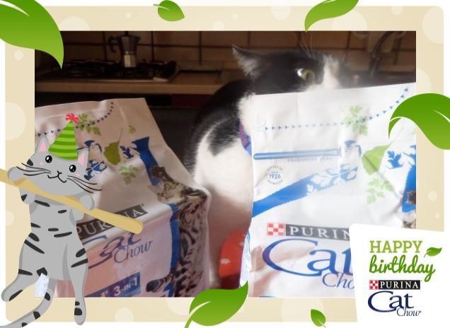 #happybirthdaycatchow1